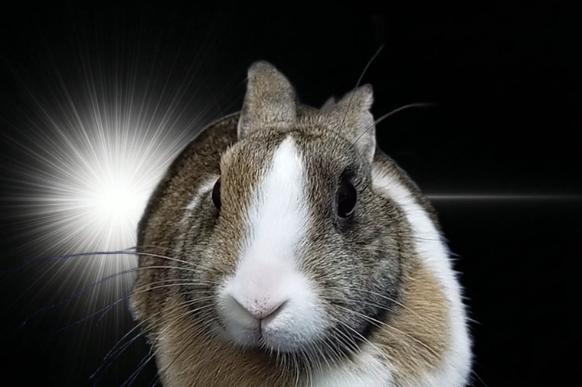 流行りのやつに便乗