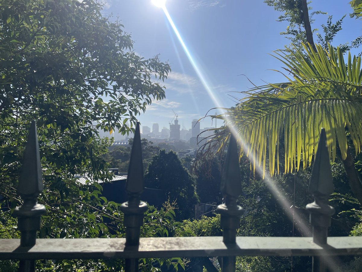 Marcus Strom tweet media