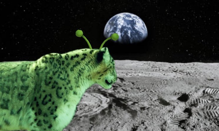 Sneplover45 tweet media