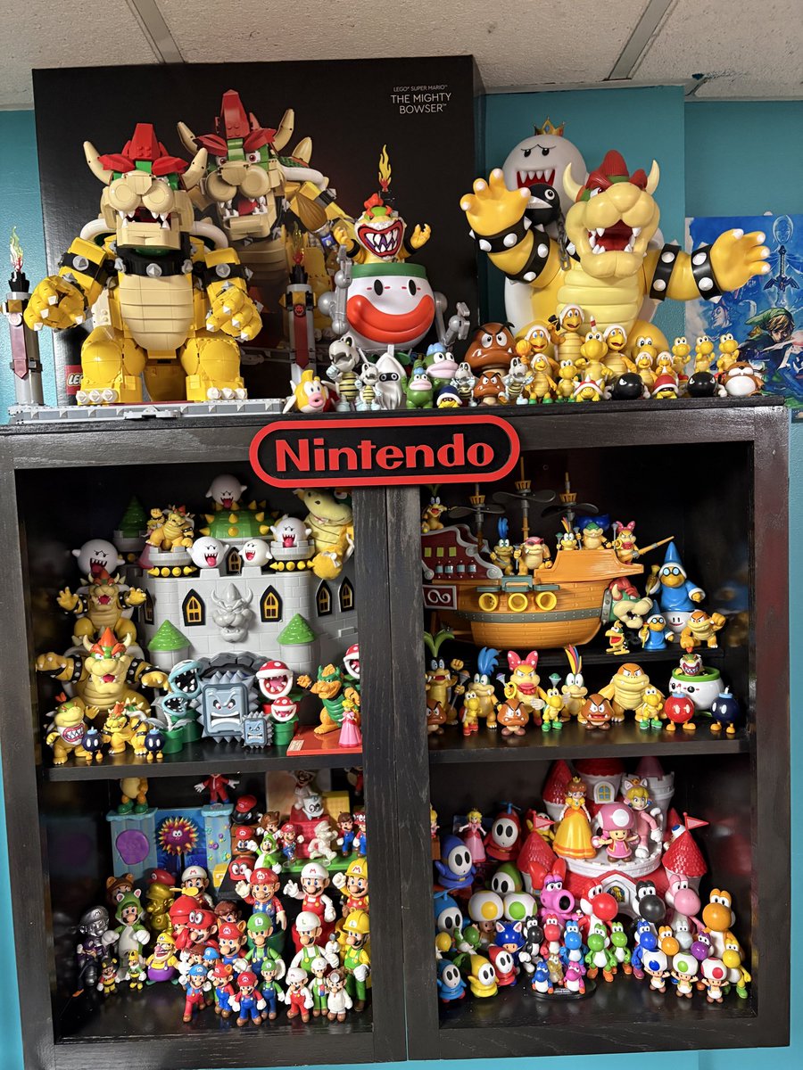 M.R. Springs 🐢🐇 tweet media