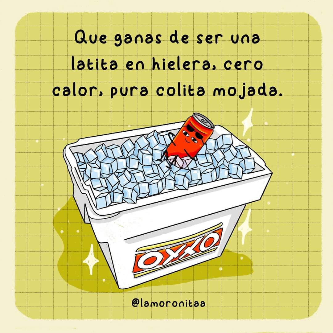 Capy Albures tweet media