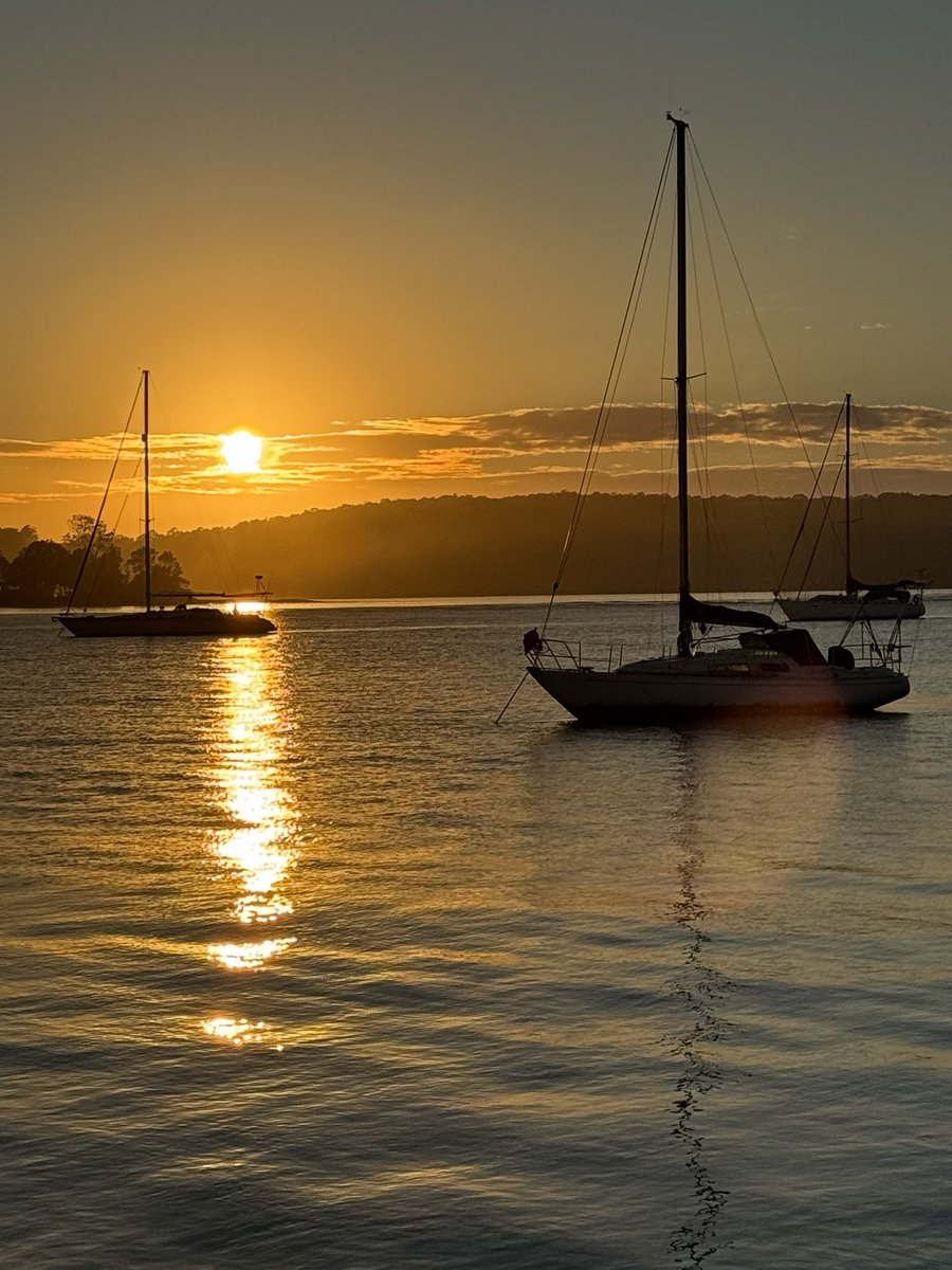 Rangers girl from Oz 🏒 tweet media