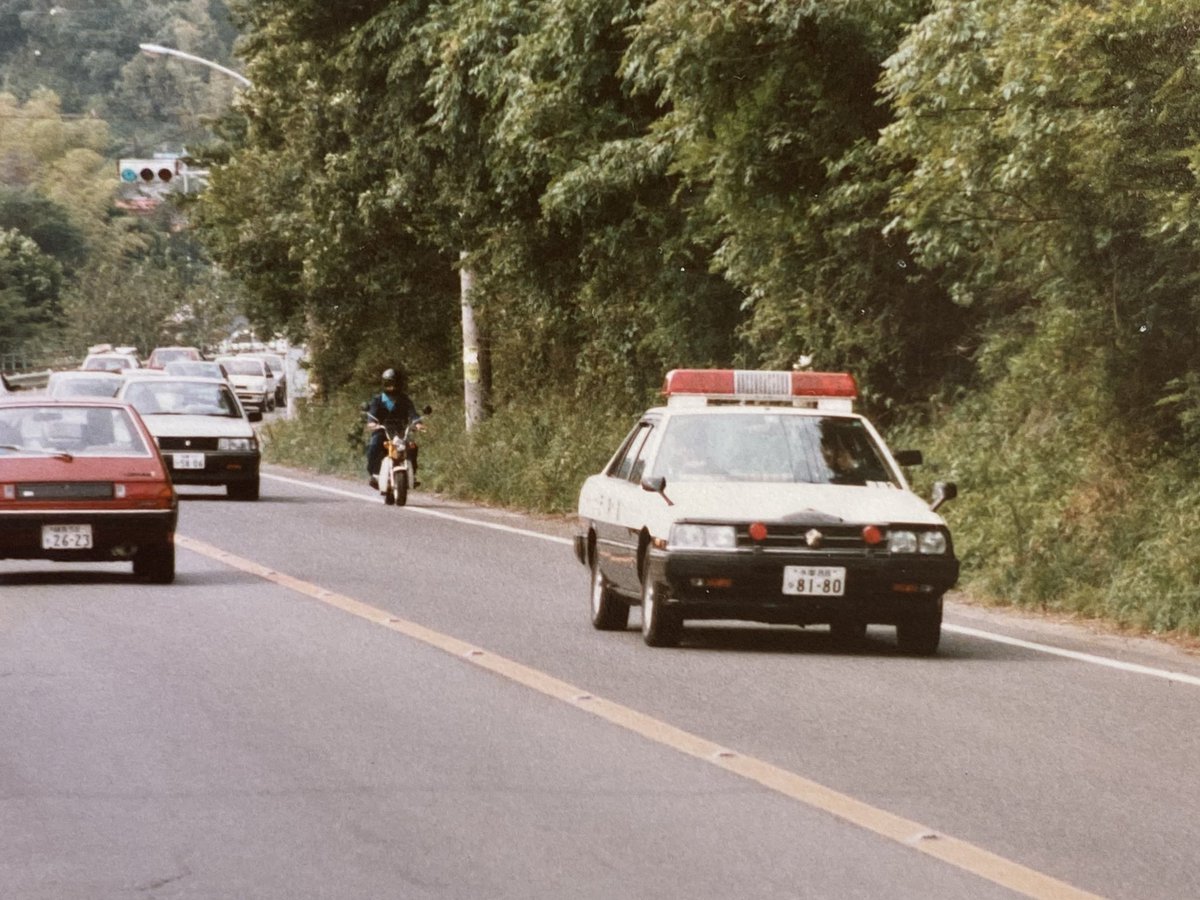 🇯🇵ハイヤーサンバ tweet media