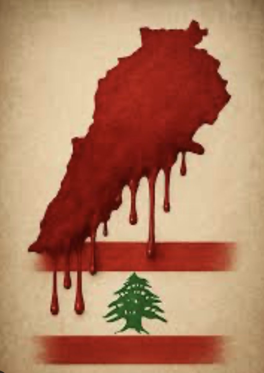 DANA 🇱🇧🇺🇸 tweet media