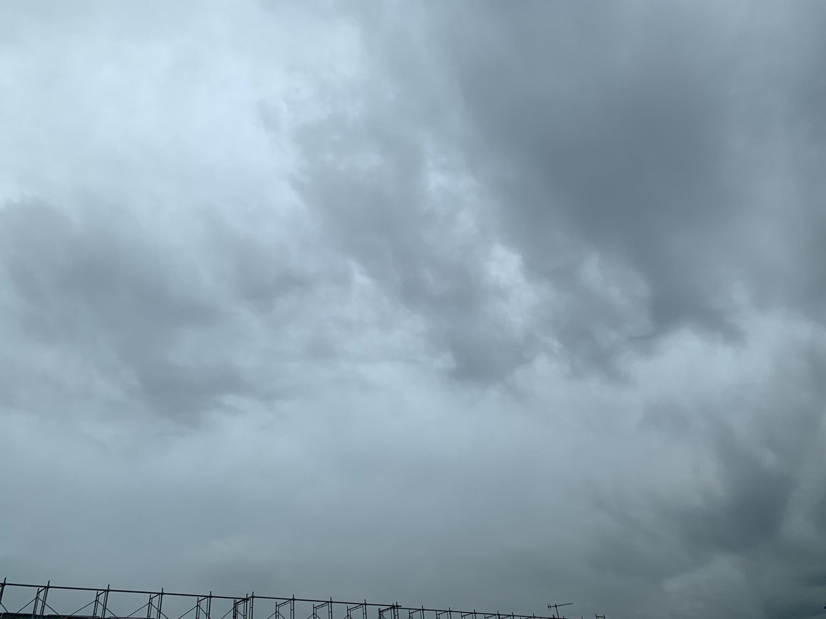 まるも🐼（🍀の中のひと） tweet media