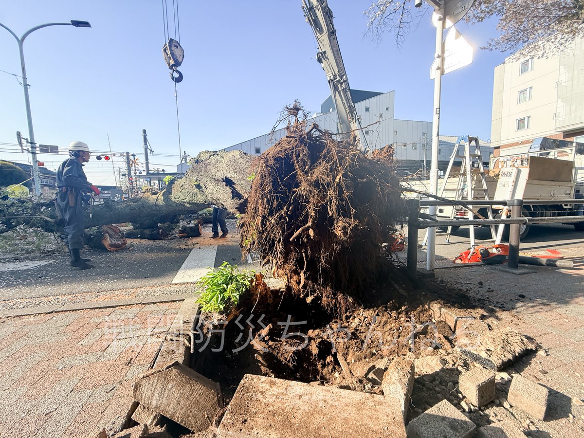 戦闘防災ちゃんねる tweet media