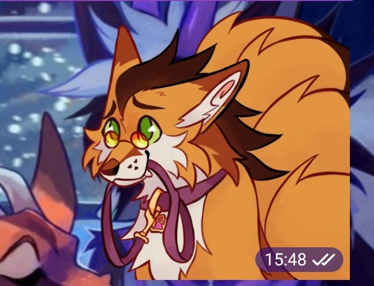 🏵 StillJustDeggy-SF K9~🏵🌉🏵 tweet media