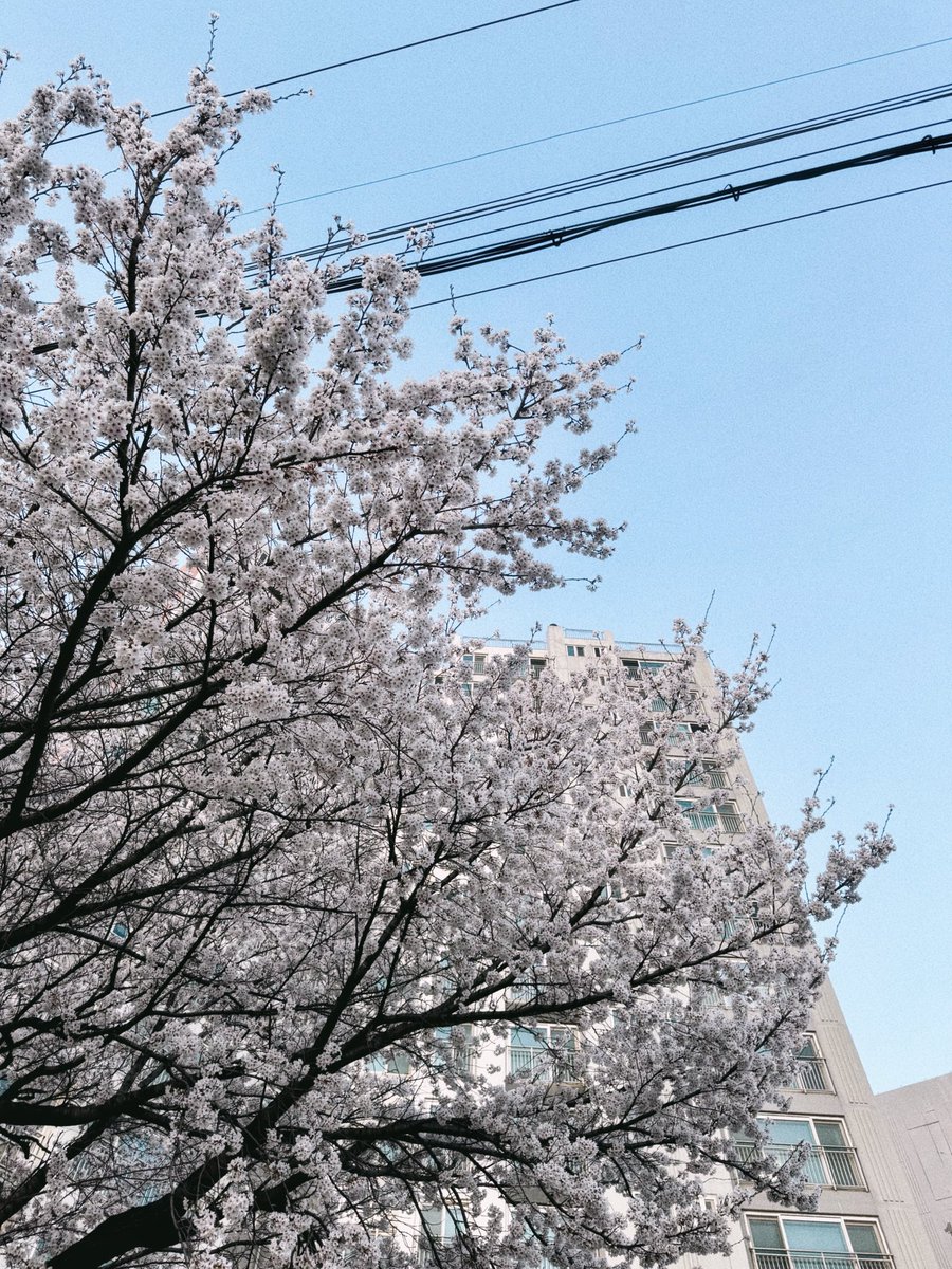 미틈달 초닷새🌱 tweet media