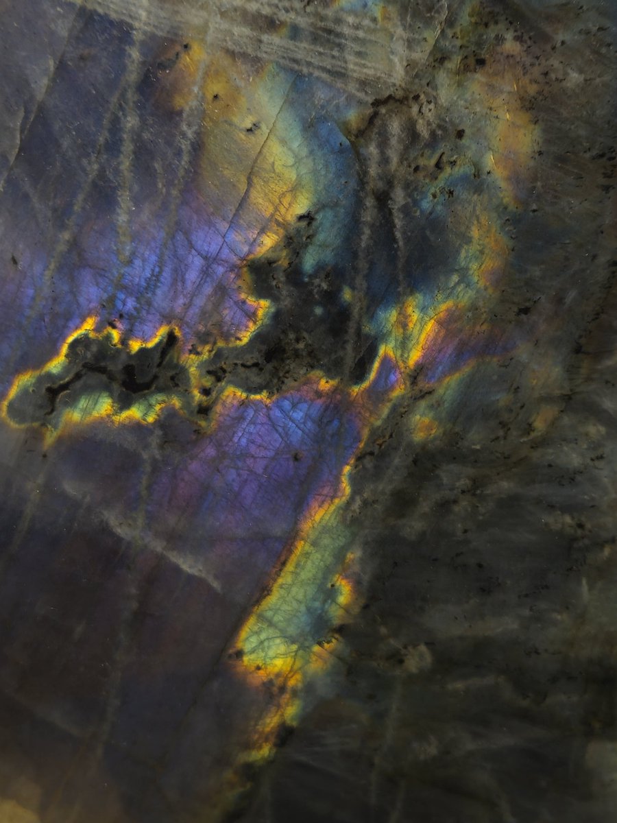 ♘ 𝐒𝐭𝐢𝐚𝐧 ♘ tweet media