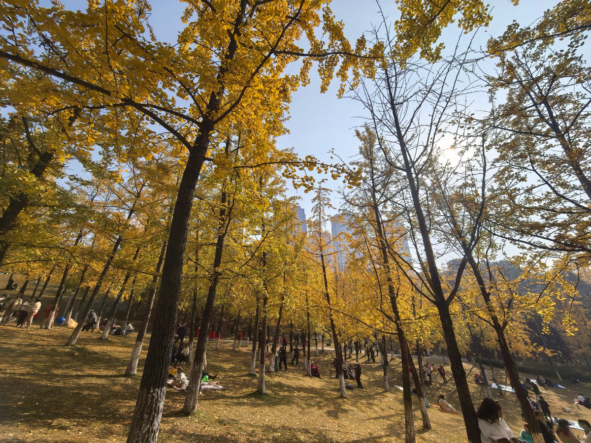 PocketGig.com tweet media