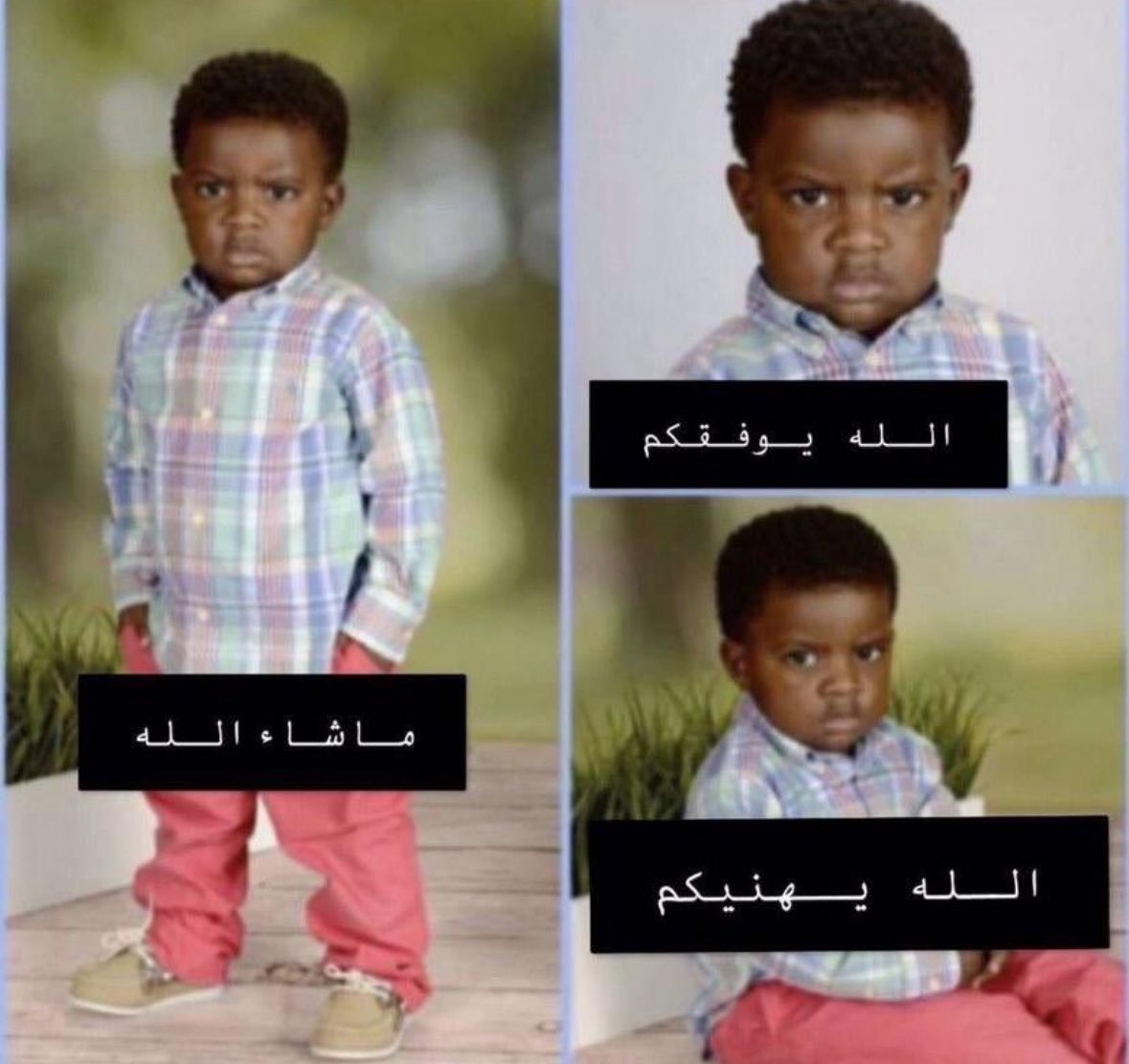 يمكن ضي tweet media