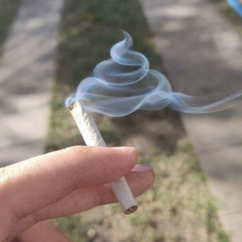 ねっつ🐰🍜 tweet media