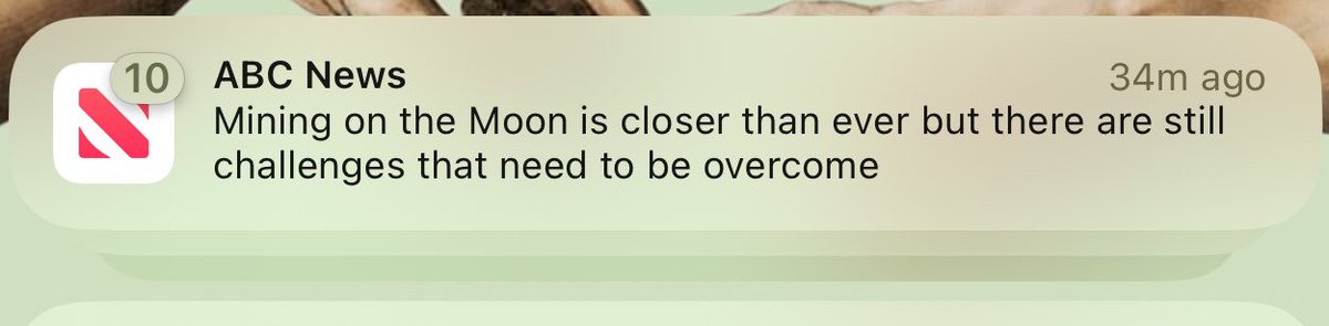 ‎Michelle tweet media