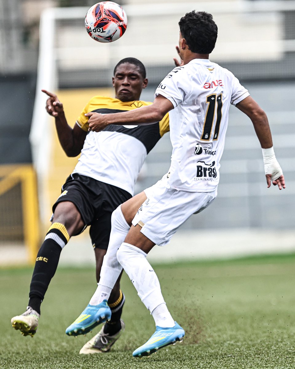 Reinaldo Campos tweet media