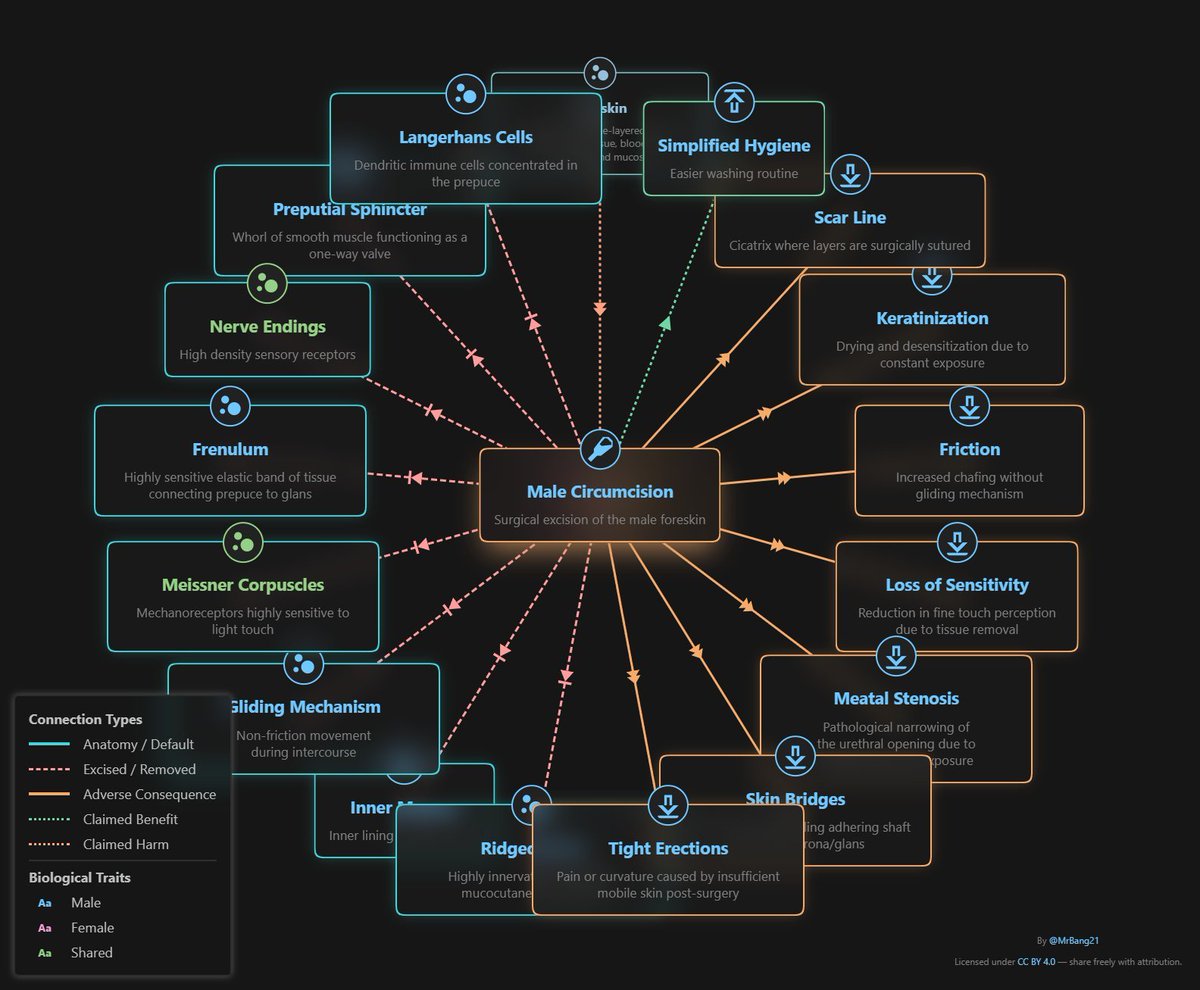 Dedmeow5 tweet media