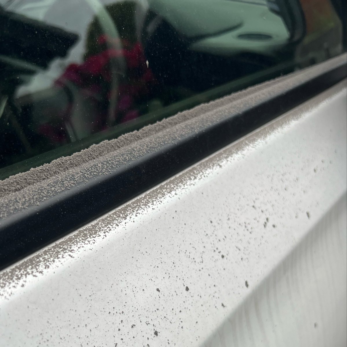 今が旬の鮎（フォロバ100） tweet media