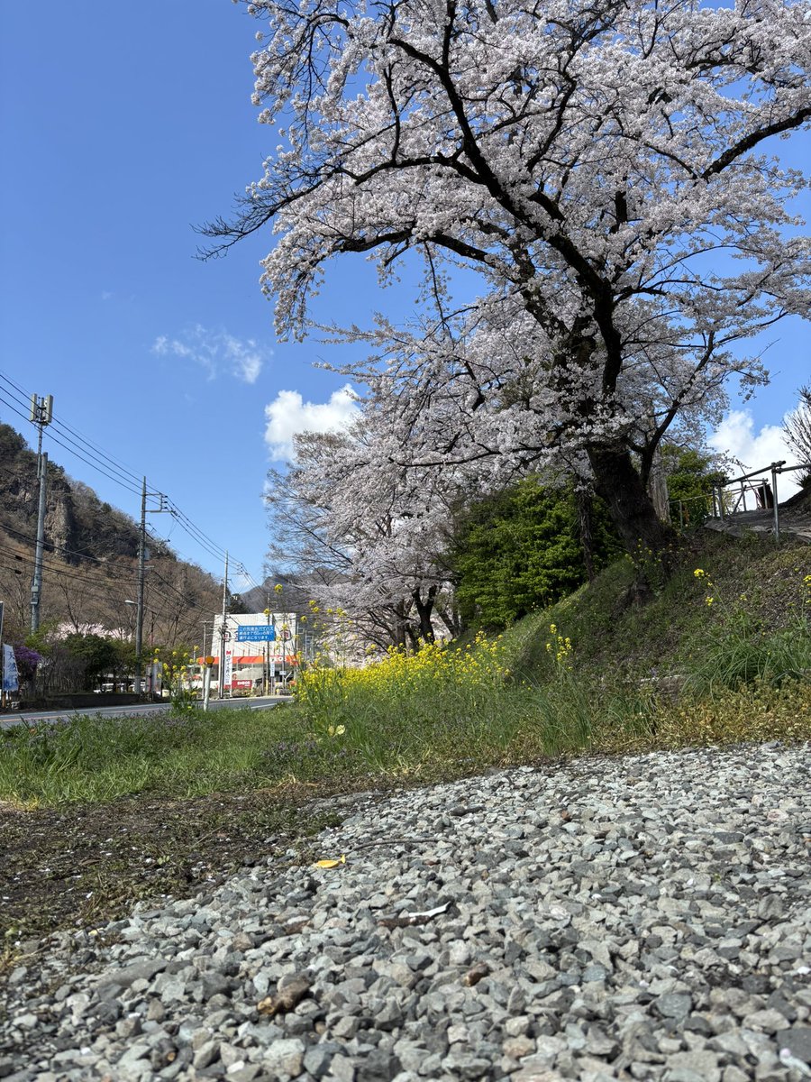 きょーこ tweet media