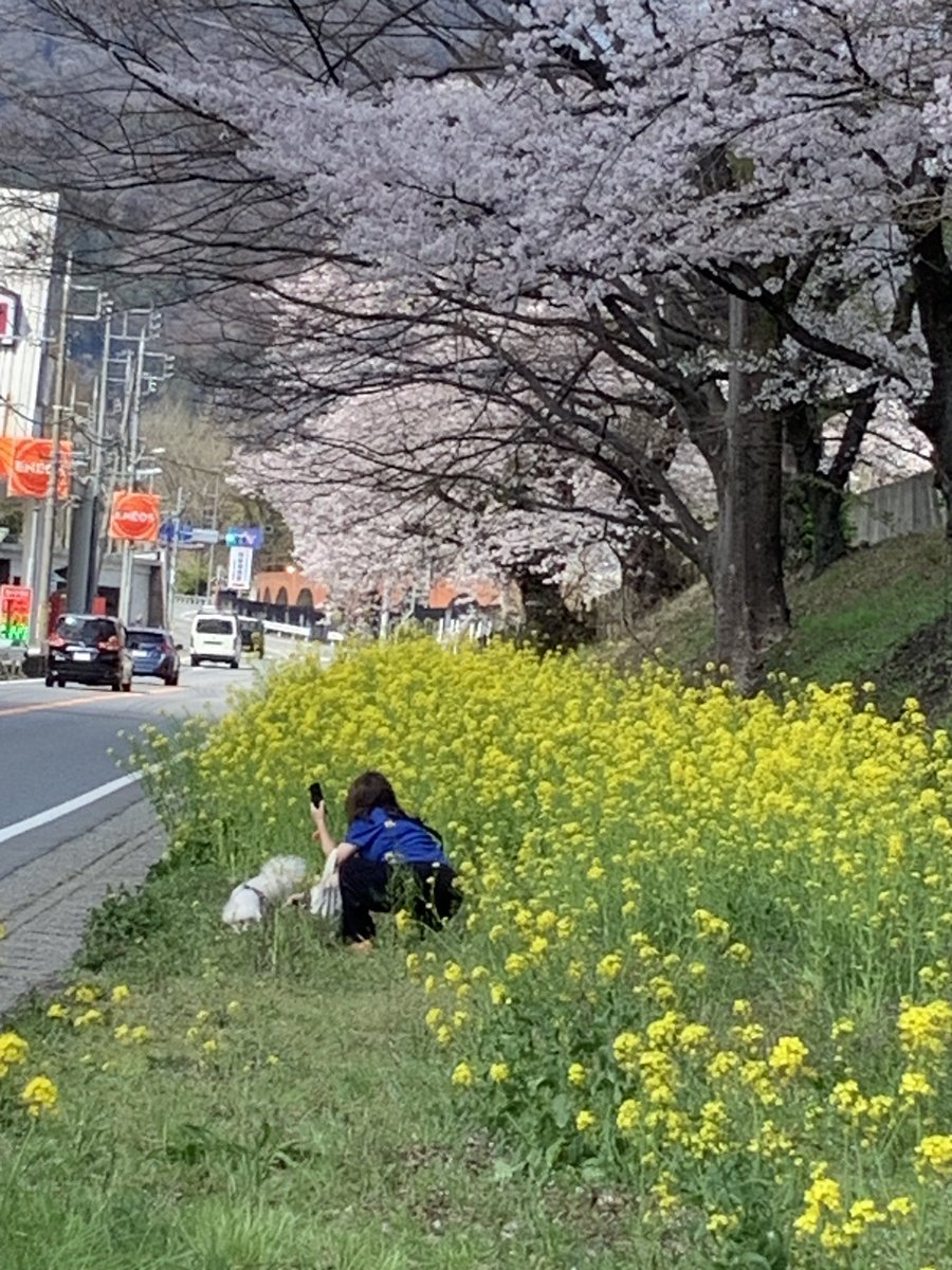 きょーこ tweet media