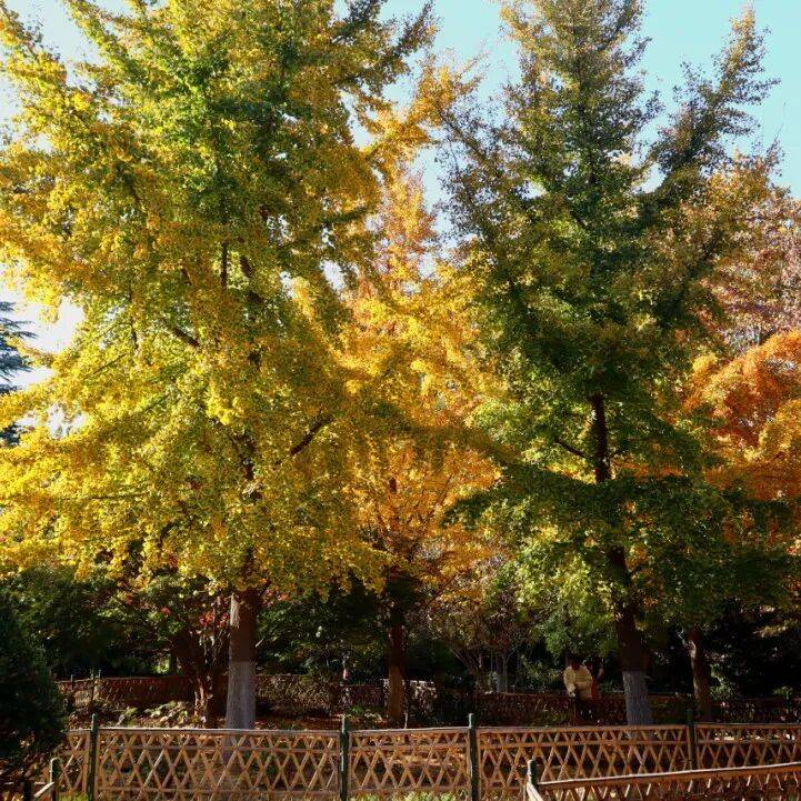 Anne-Gaëlle COLIN tweet media