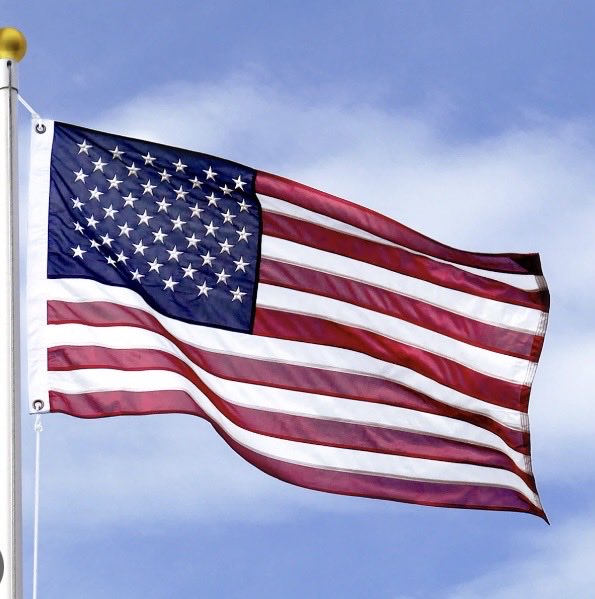 Suzie rizzio tweet media