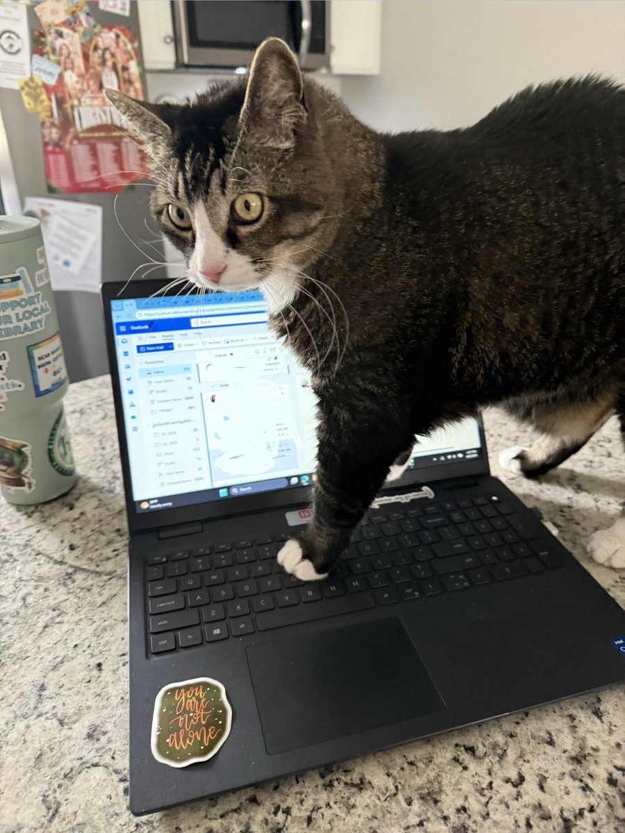 boots 👢 tweet media