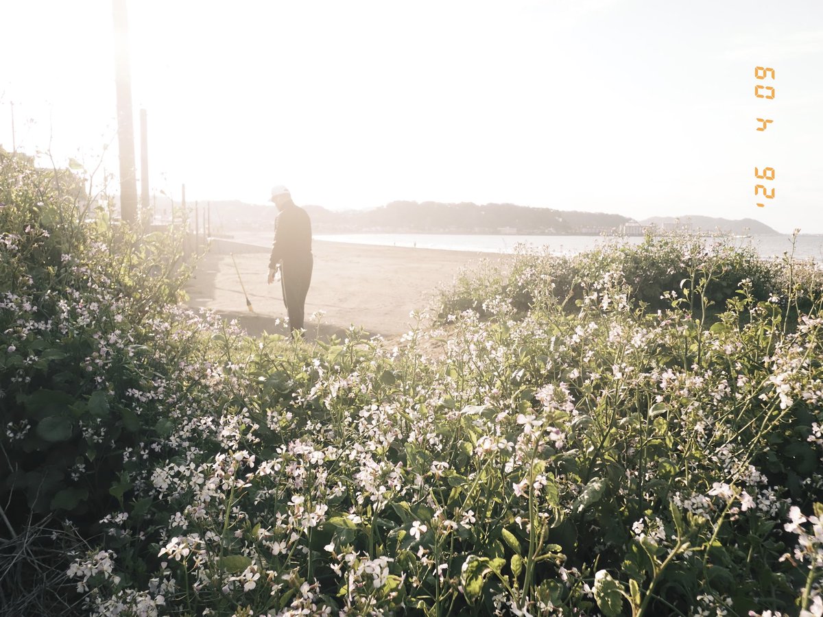 Yusuke Suzuki （鈴木 佑介）⭐️ときめきDOP tweet media