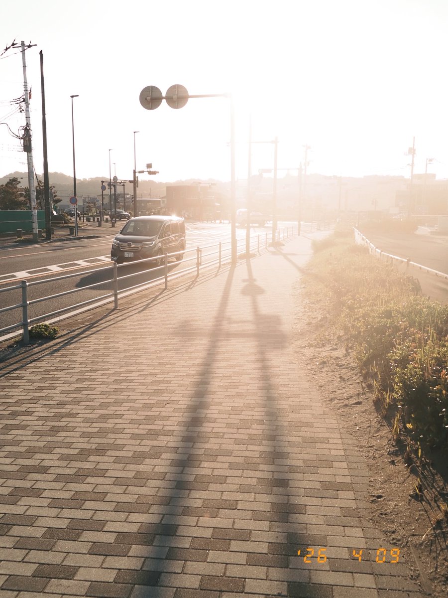 Yusuke Suzuki （鈴木 佑介）⭐️ときめきDOP tweet media