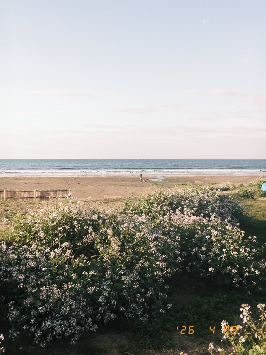 Yusuke Suzuki （鈴木 佑介）⭐️ときめきDOP tweet media