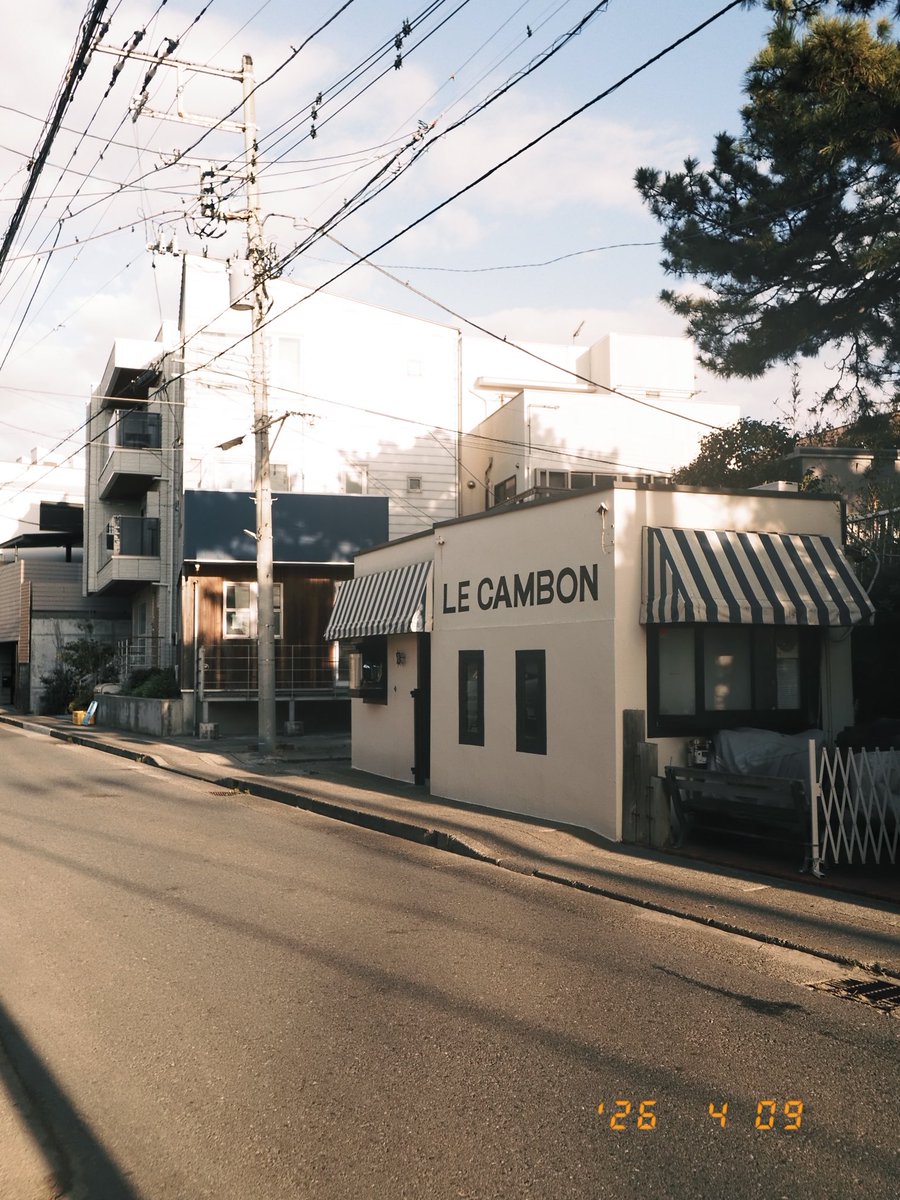 Yusuke Suzuki （鈴木 佑介）⭐️ときめきDOP tweet media