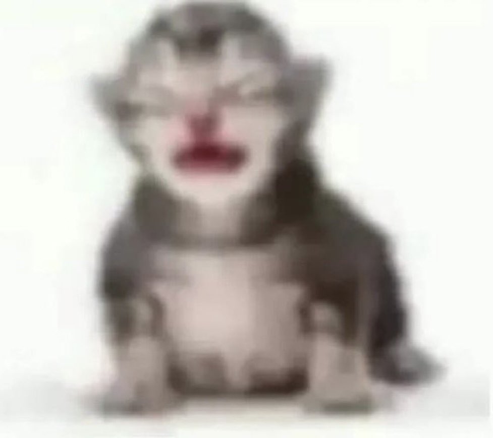 OnlyFranCos tweet media