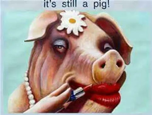 CodeSurvivor tweet media