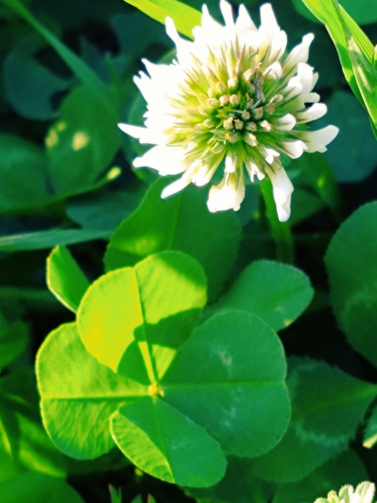 yucchi☆ tweet media