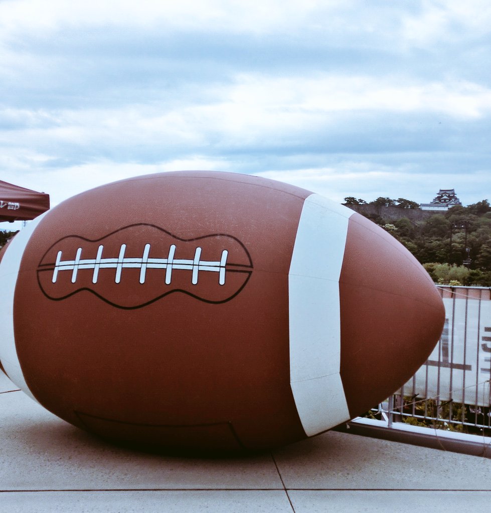 Maria🌹 tweet media