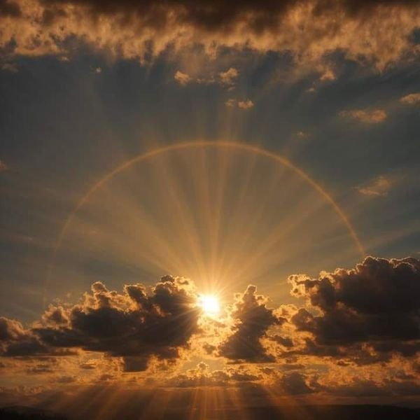 Trupti Sharma tweet media