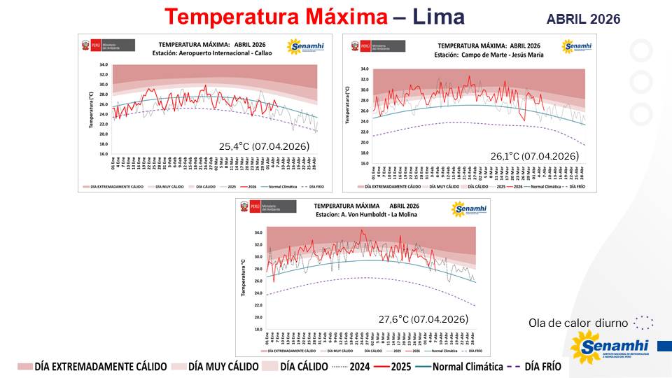Lourdes Menis tweet media