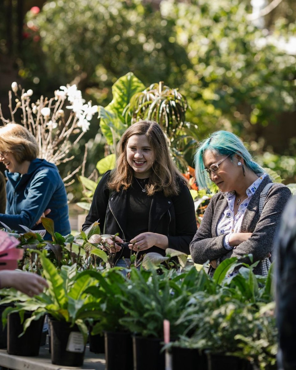 Gardens of Golden Gate Park tweet media