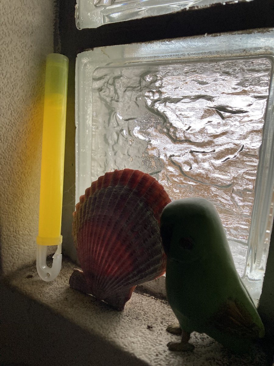 清になりたい tweet media