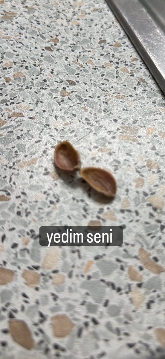 leyla9sn's tweet photo. naber fıstığım https://t.co/VsQy0btjaZ