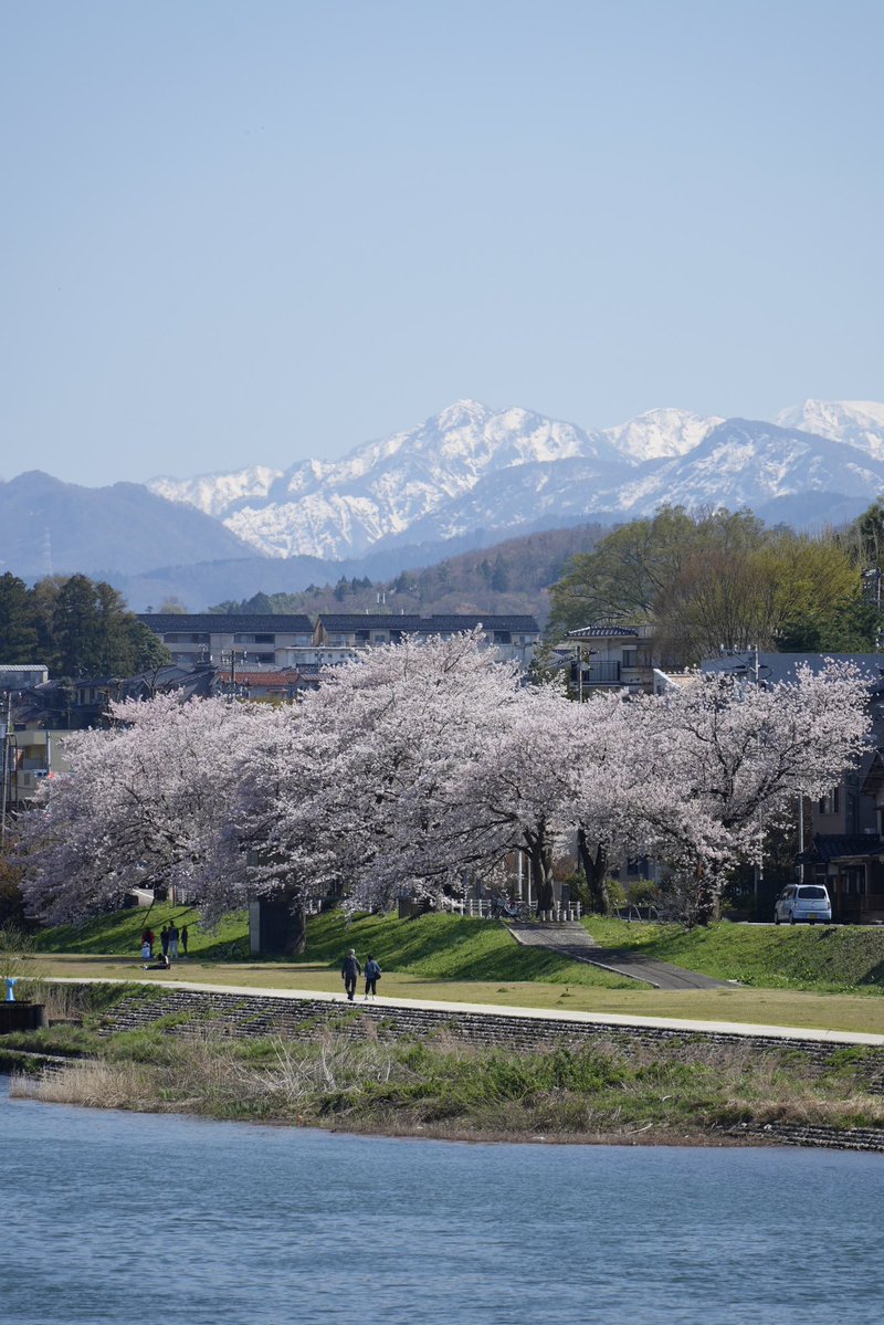 ふらっと金沢 tweet media