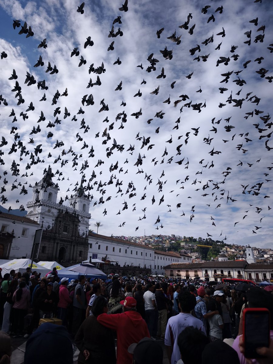 π Pi π tweet media