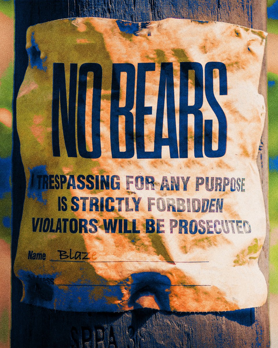 UTA Softball tweet media