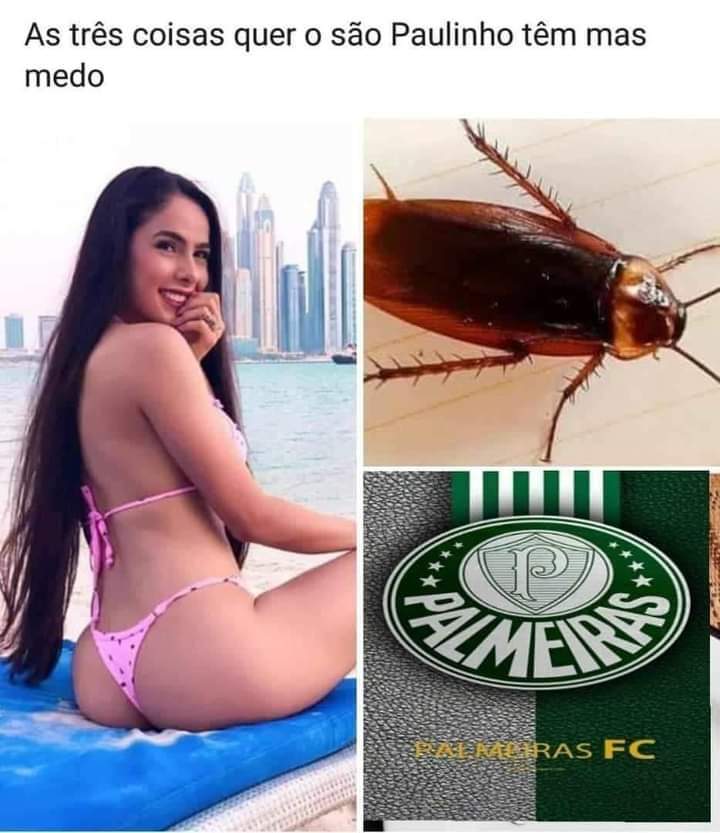 Football Boomer Images tweet media