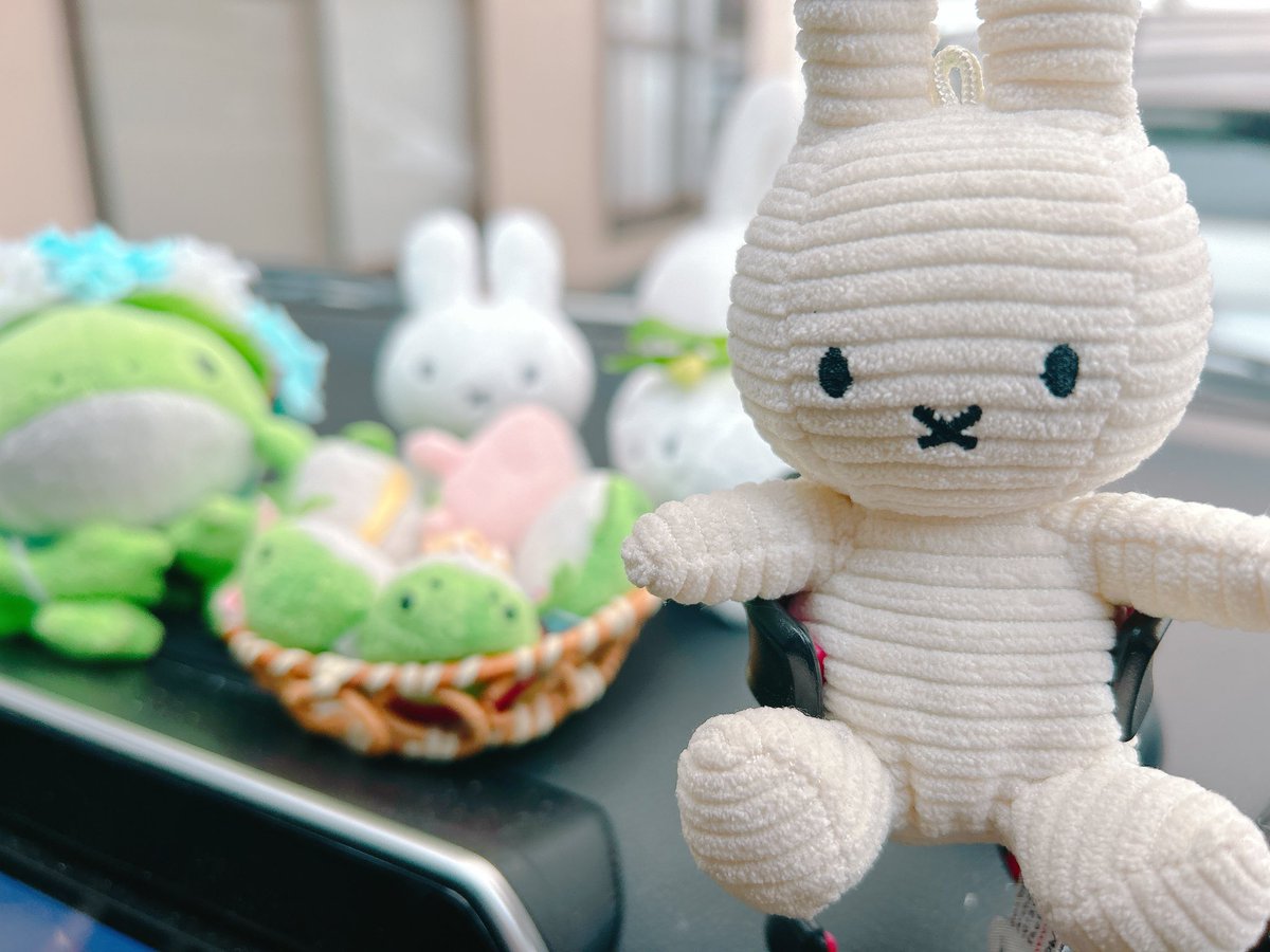 ロック(シロガネロック) tweet media