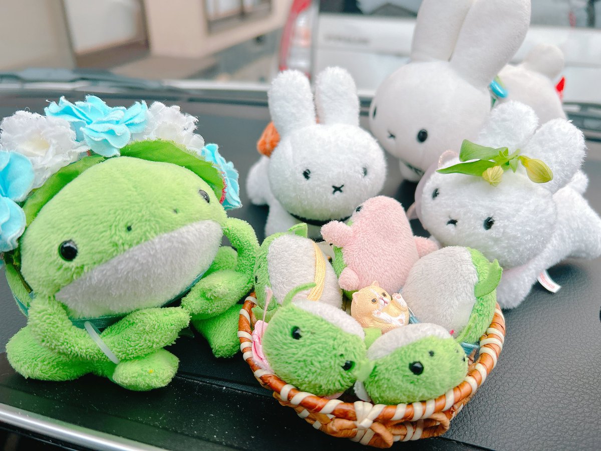 ロック(シロガネロック) tweet media