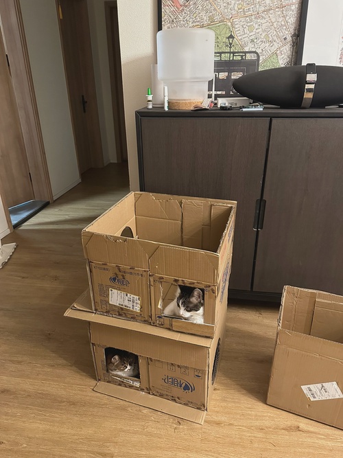 joseph4jesus's tweet photo. "Organize old stuff → Keep what sparks joy, donate what doesn’t. Clear space, lighten mood!  #DeclutterJoy" https://t.co/IHj7tIjTSf