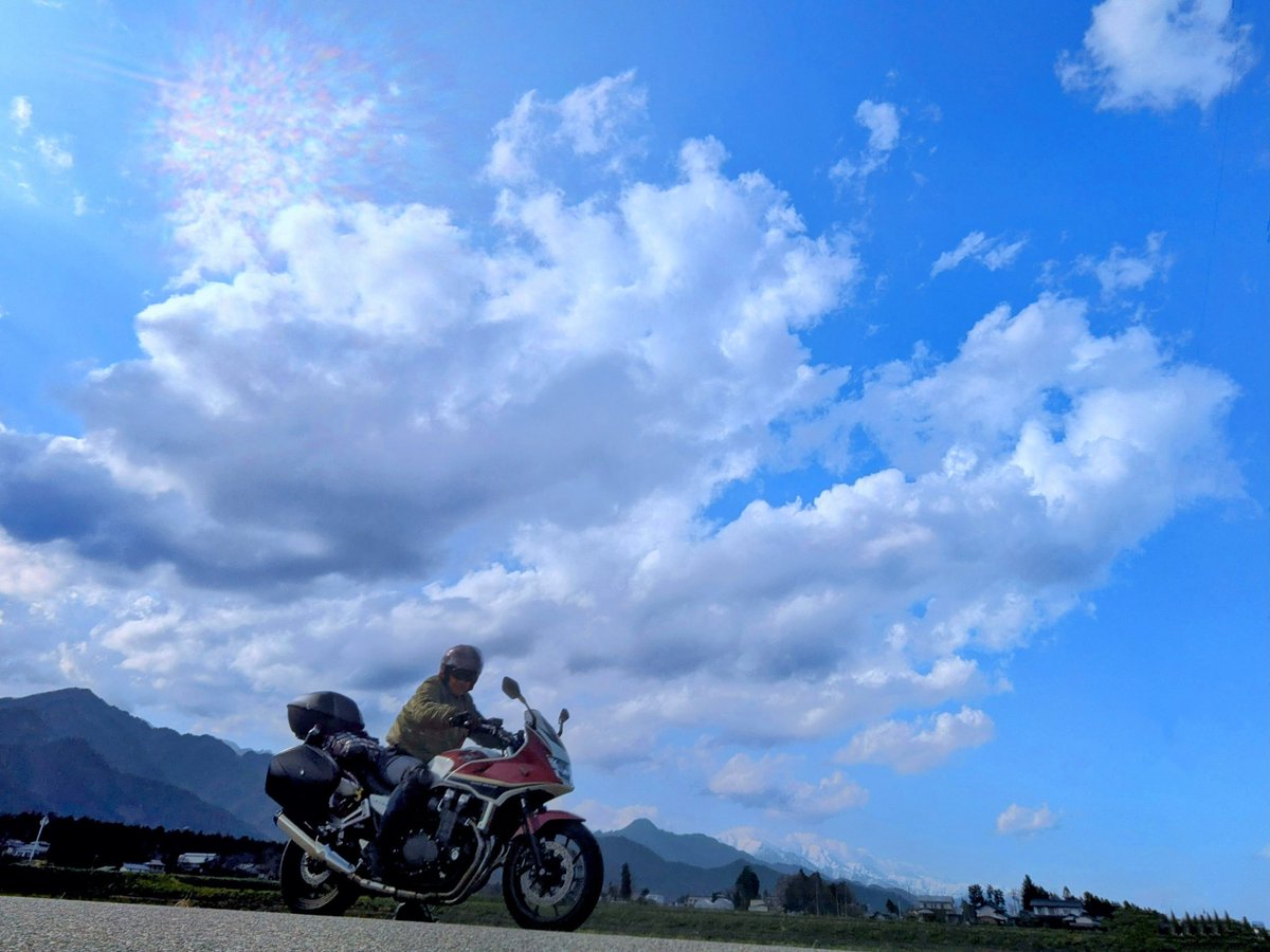 瑞雲ziun ELD55 tweet media