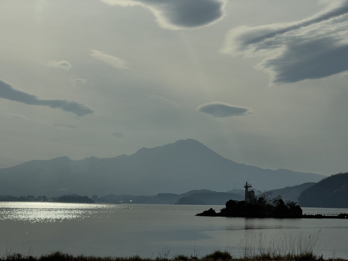 吉兵衛 tweet media