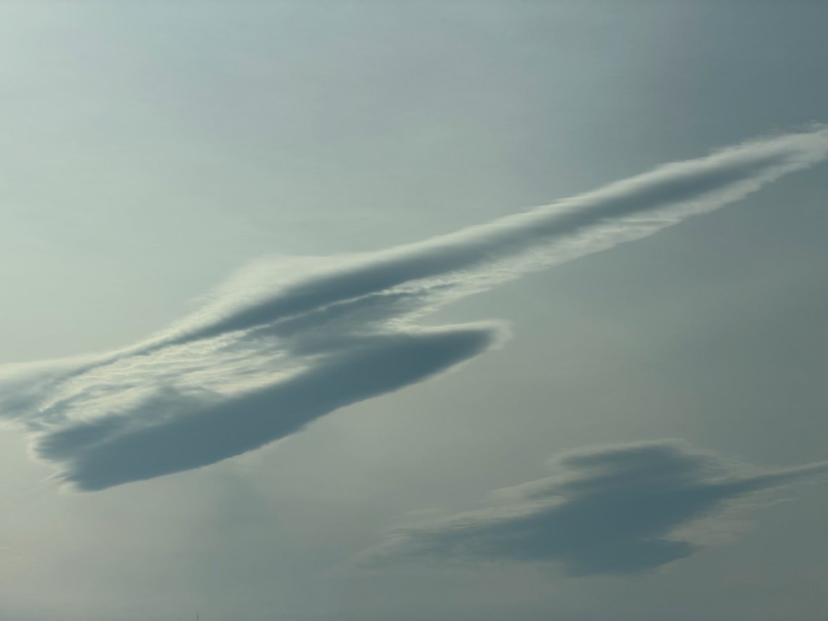 吉兵衛 tweet media