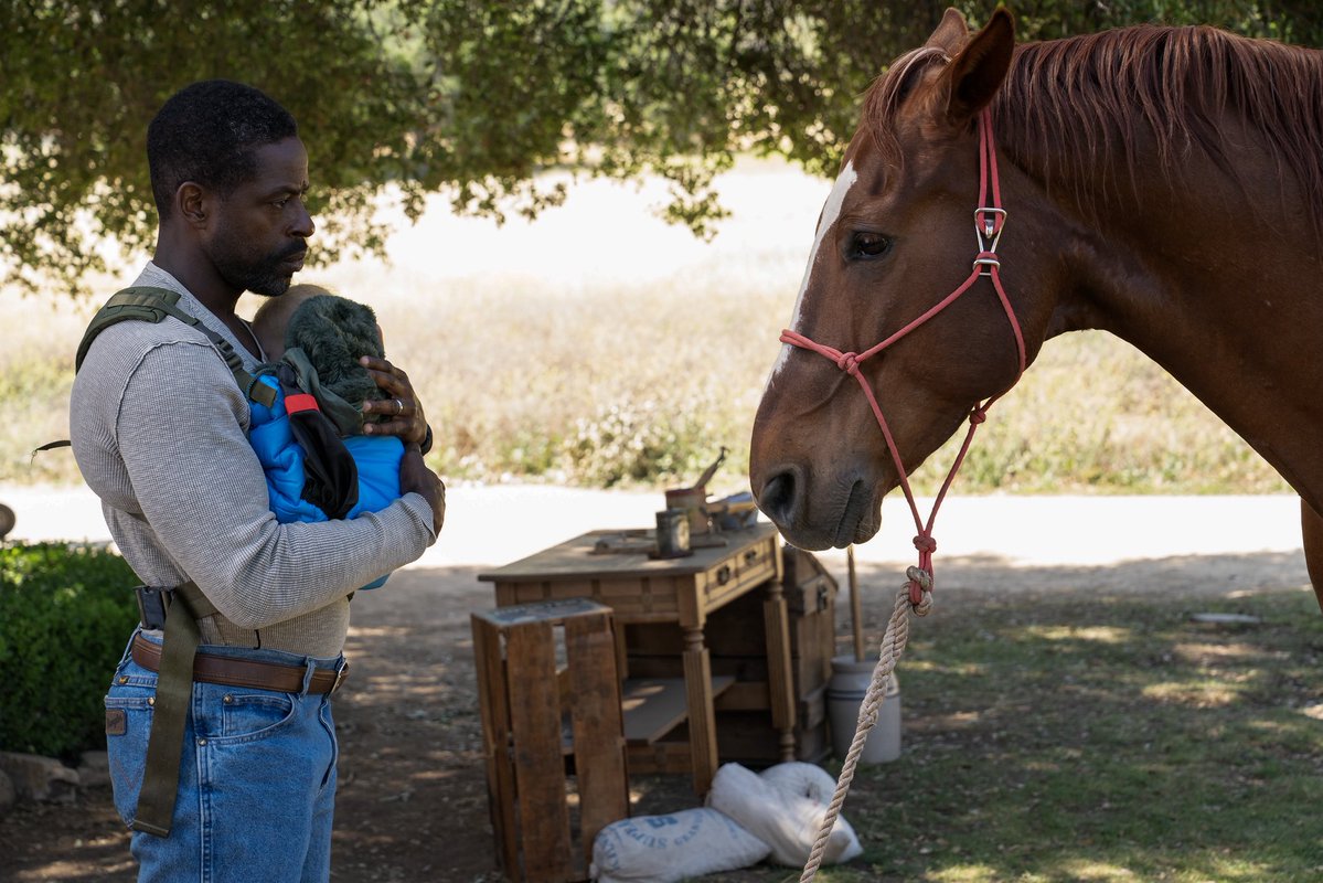 Paradise tweet media