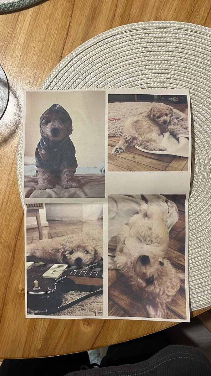 <a href="/coolfunnnn/">yosuba</a> valió la pena